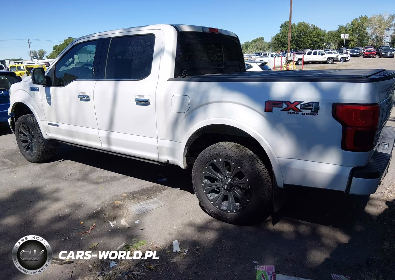 2018 Ford F-150 Platinum VIN:1FTFW1E14JFC54289 - 3