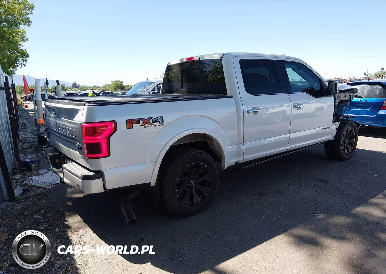 2018 Ford F-150 Platinum VIN:1FTFW1E14JFC54289 - 4