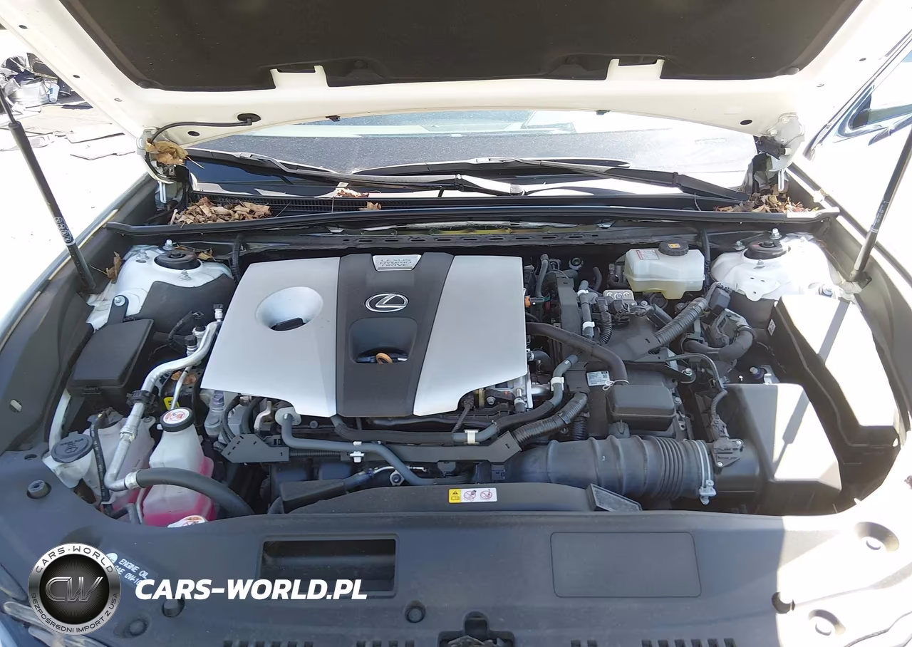 2020 Lexus Es 300H Luxury VIN:58AE21B16LU008276 - 10