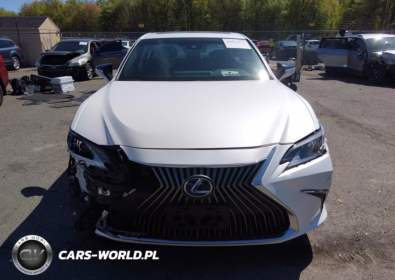 2020 Lexus Es 300H Luxury VIN:58AE21B16LU008276 - 12
