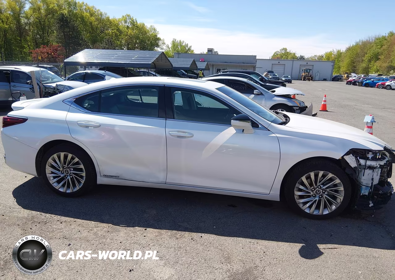 2020 Lexus Es 300H Luxury VIN:58AE21B16LU008276 - 13