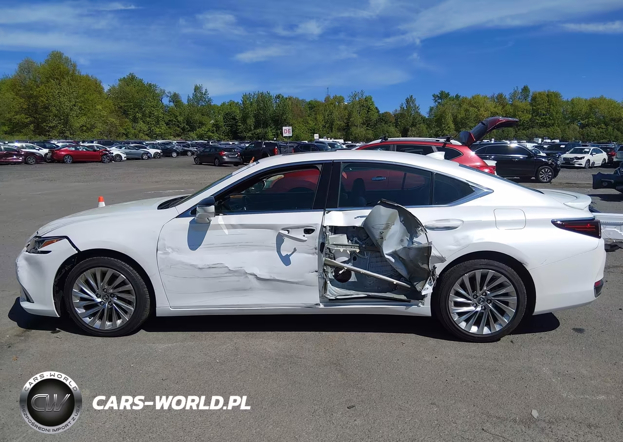 2020 Lexus Es 300H Luxury VIN:58AE21B16LU008276 - 14