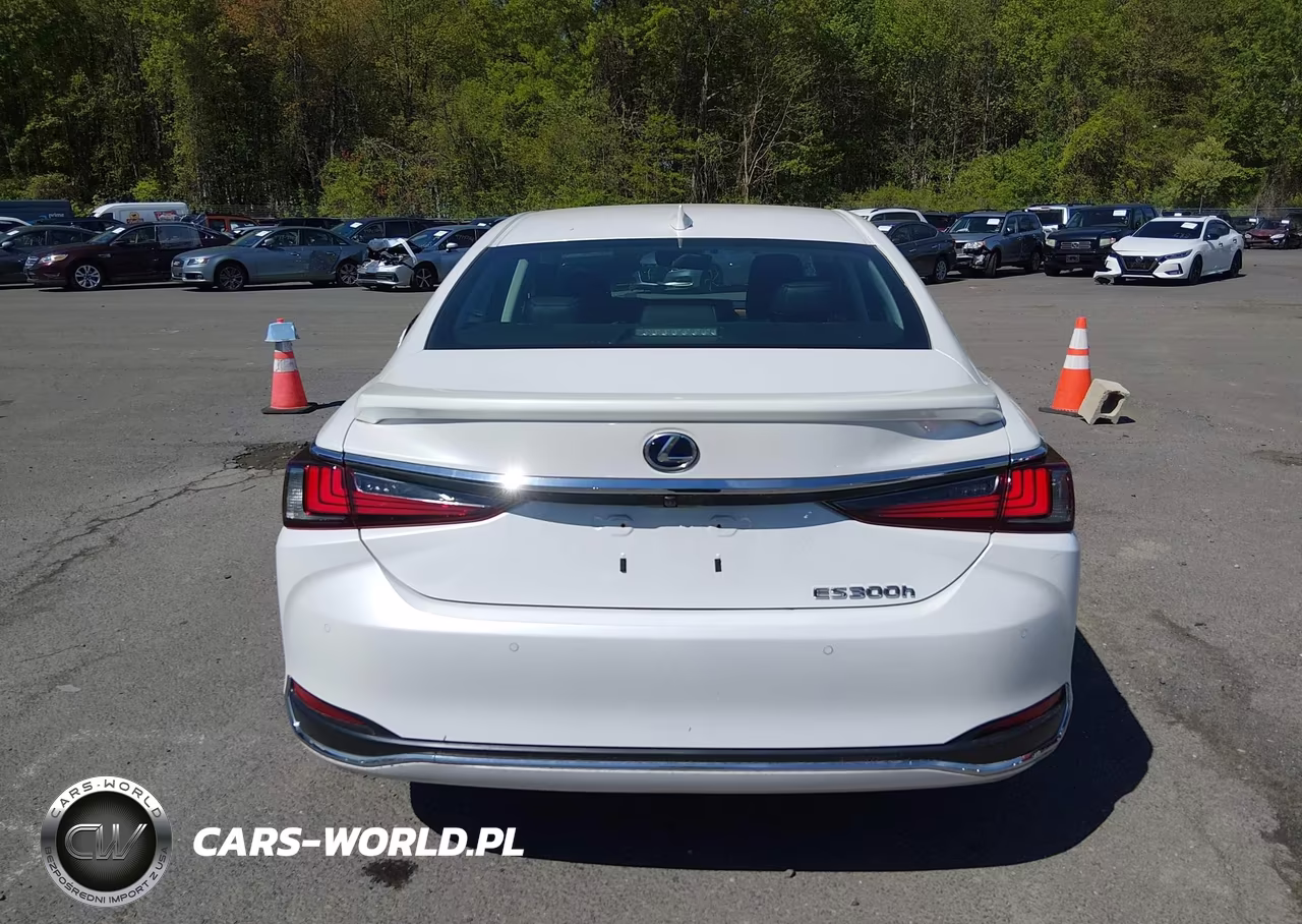 2020 Lexus Es 300H Luxury VIN:58AE21B16LU008276 - 16