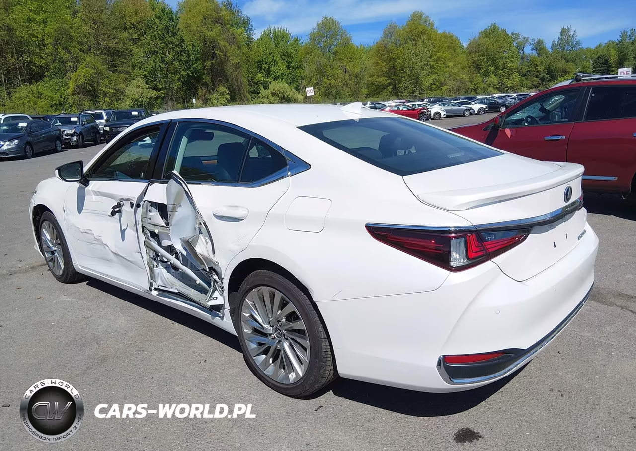 2020 Lexus Es 300H Luxury VIN:58AE21B16LU008276 - 3