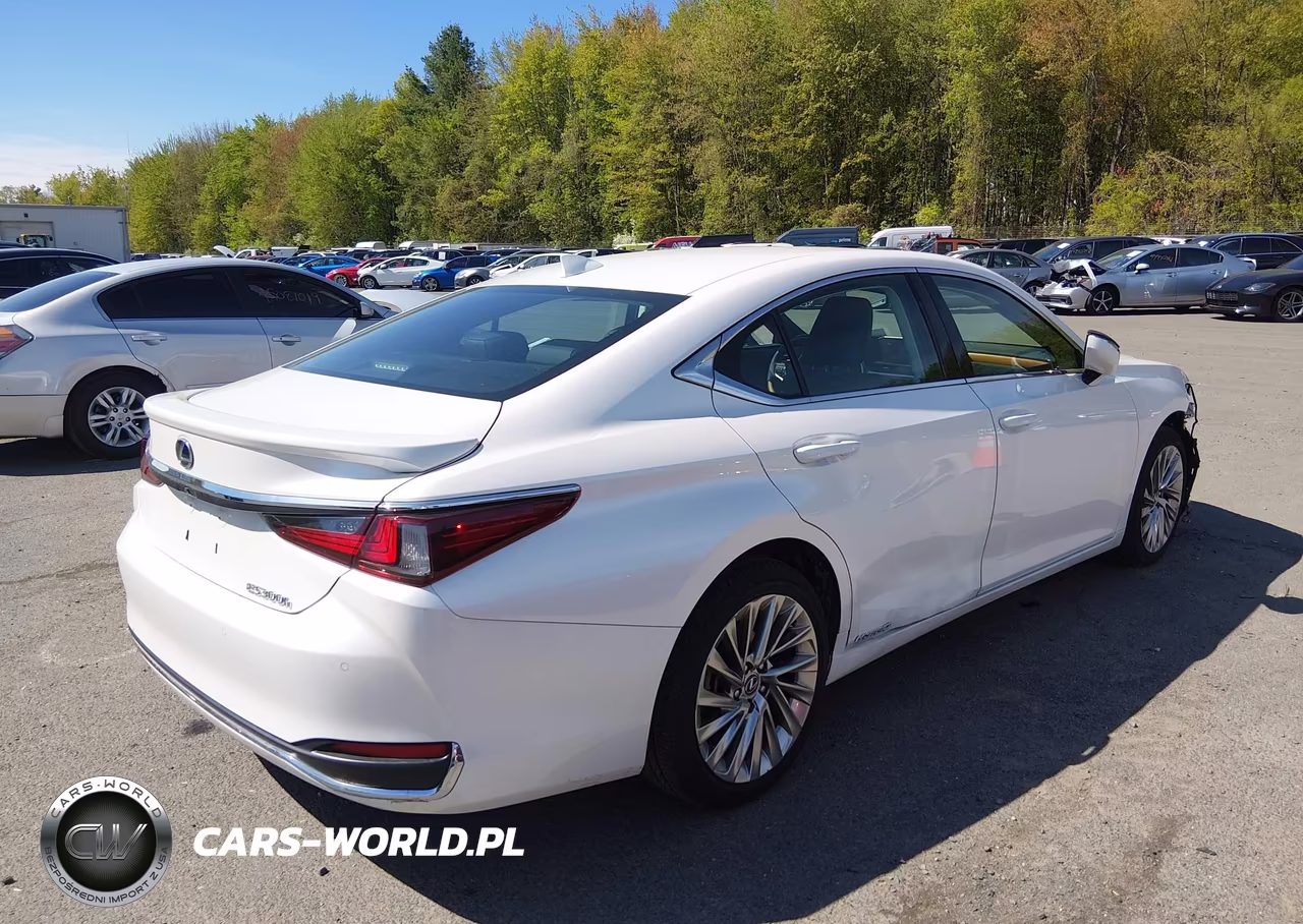 2020 Lexus Es 300H Luxury VIN:58AE21B16LU008276 - 4