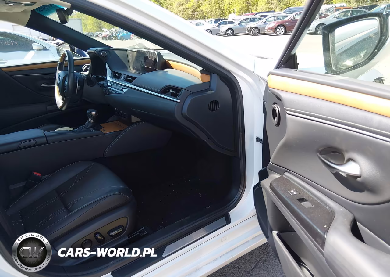 2020 Lexus Es 300H Luxury VIN:58AE21B16LU008276 - 5