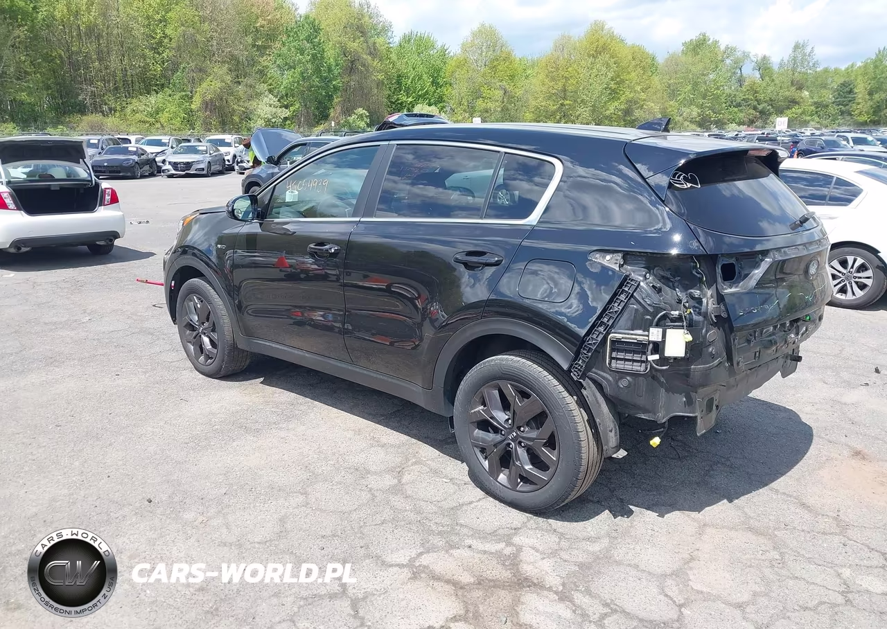2022 Kia Sportage Lx VIN:KNDPMCAC0N7967851 - 3