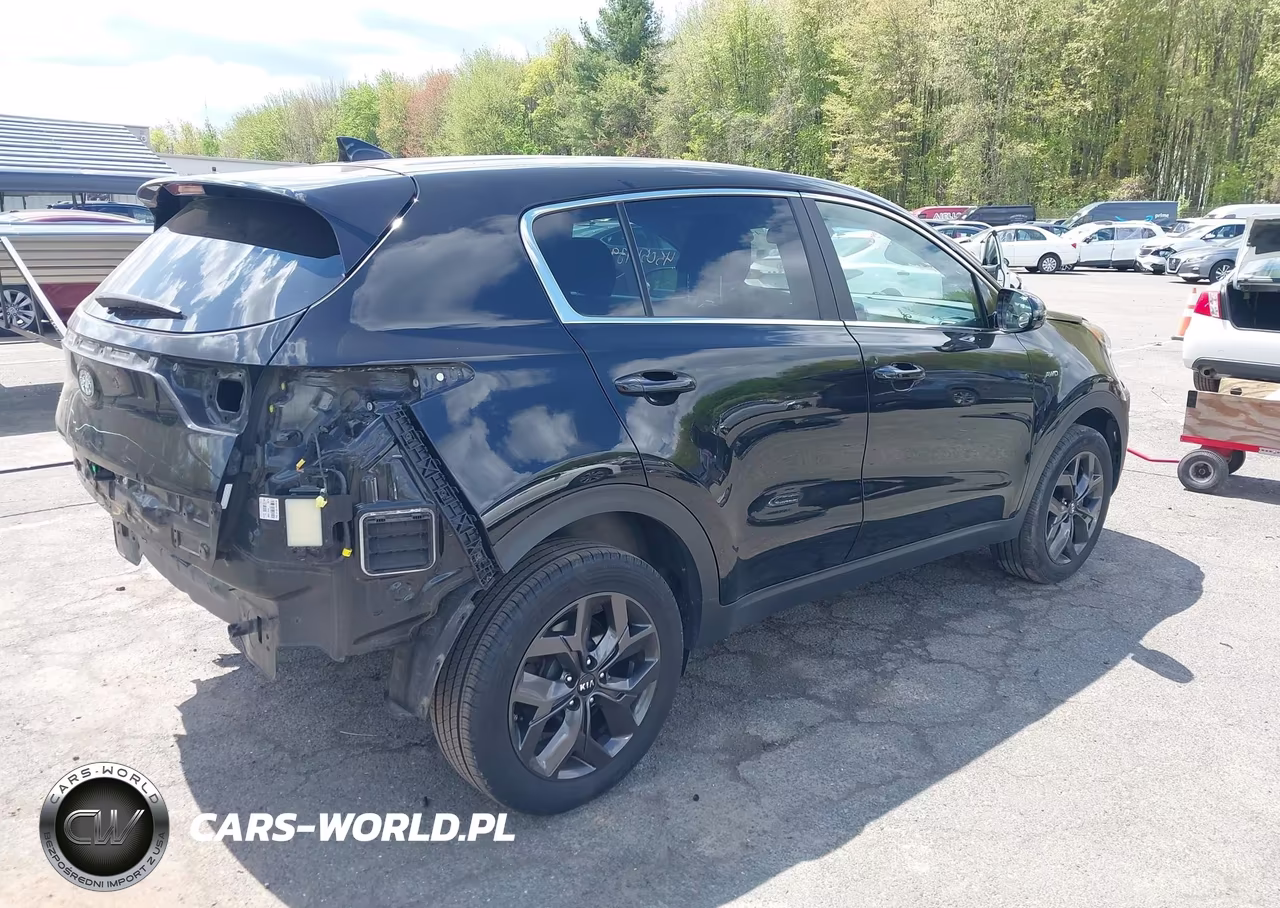 2022 Kia Sportage Lx VIN:KNDPMCAC0N7967851 - 4
