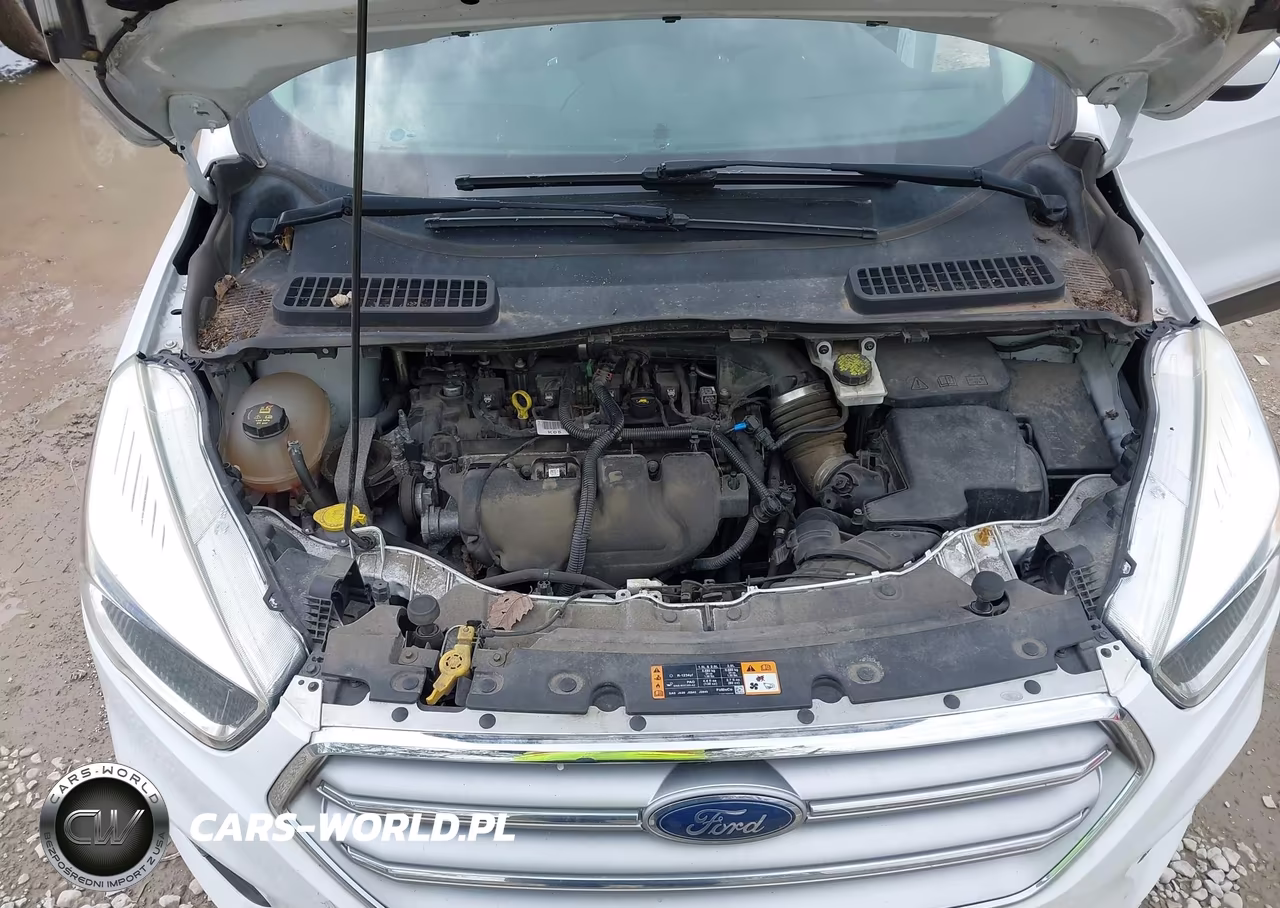 2017 Ford Escape Se VIN:1FMCU0G92HUA90080 - 10