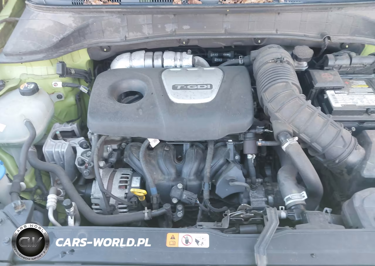 2019 Hyundai Kona Ultimate VIN:KM8K5CA51KU389812 - 10