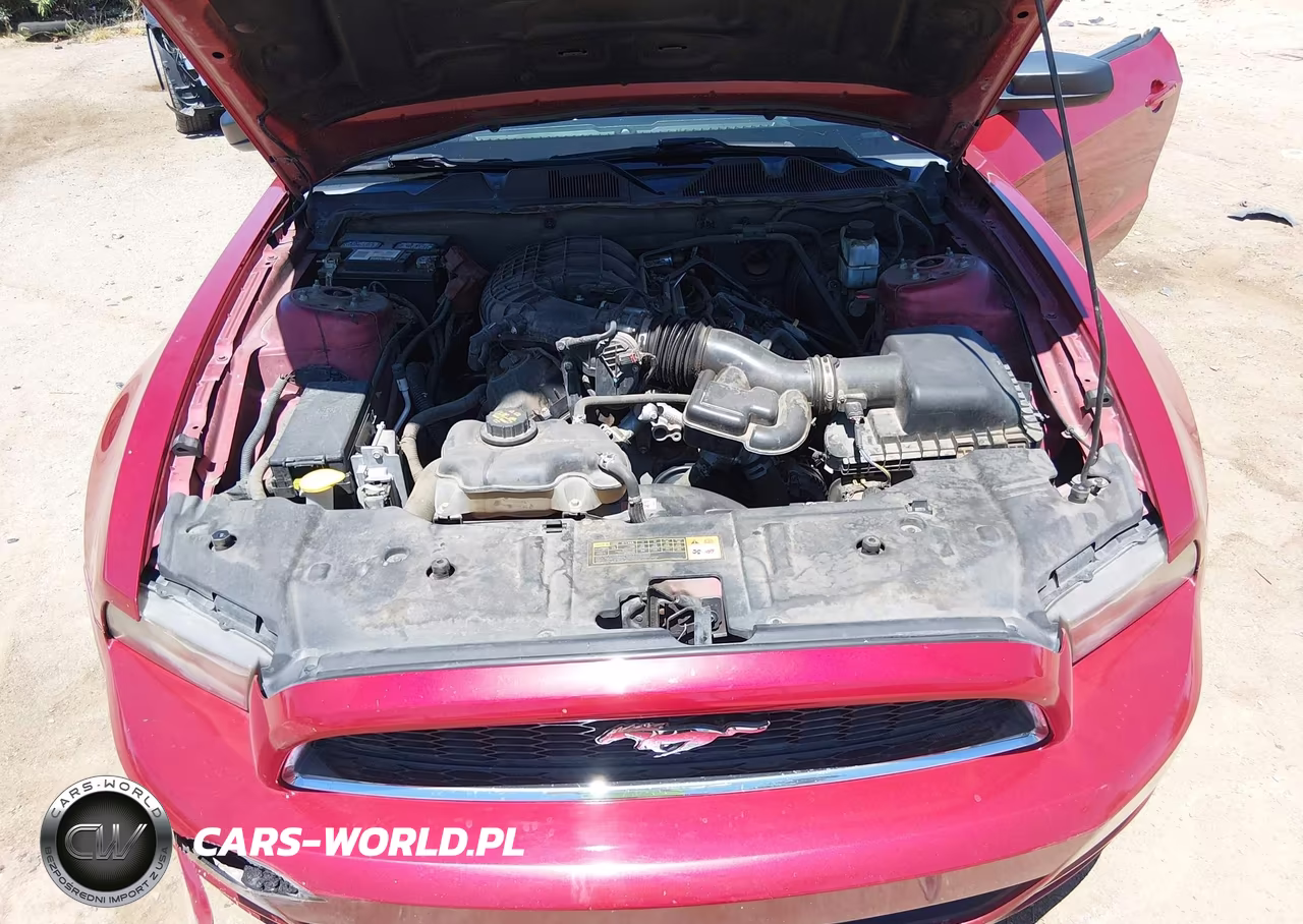 2013 Ford Mustang V6 VIN:1ZVBP8AM8D5211120 - 10