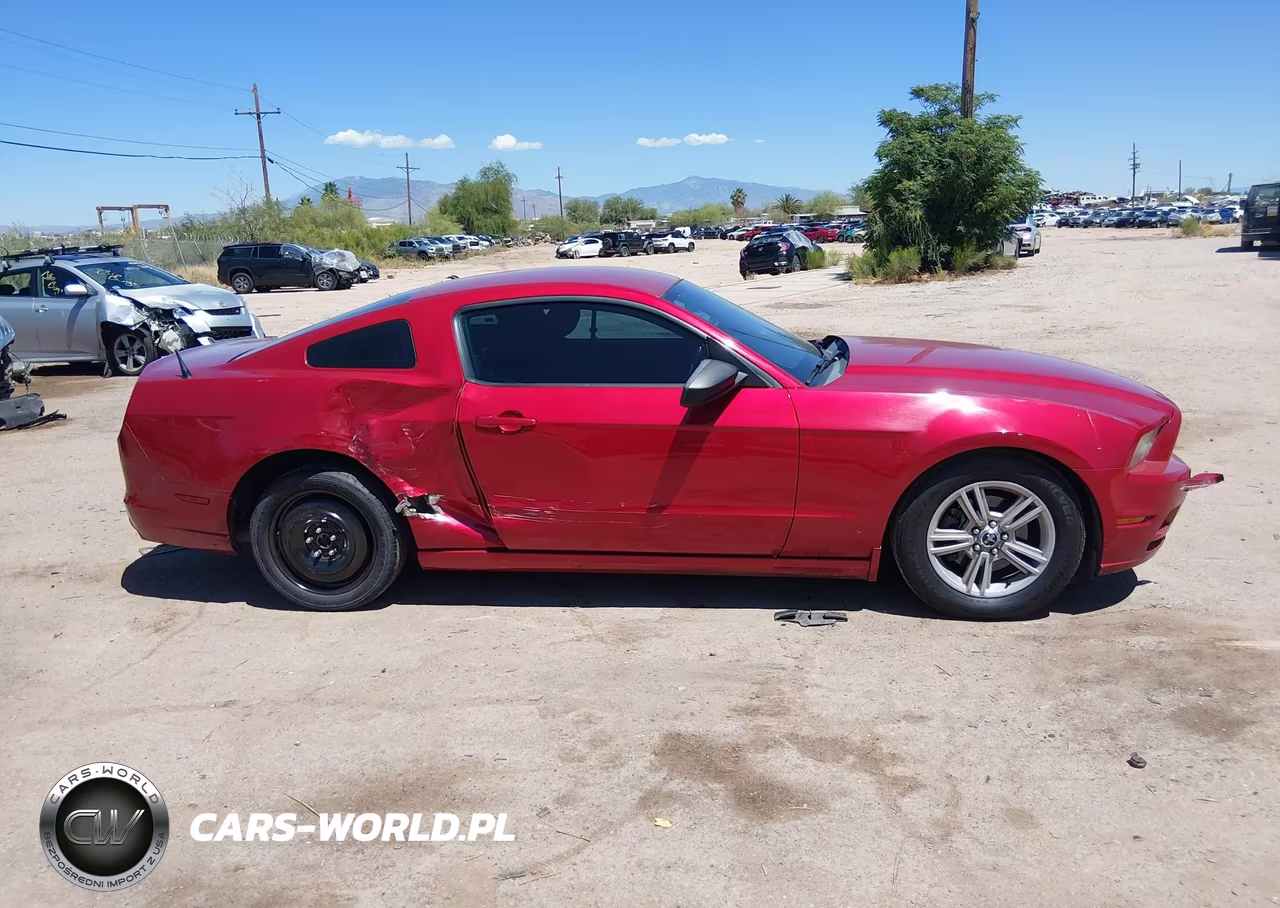 2013 Ford Mustang V6 VIN:1ZVBP8AM8D5211120 - 12