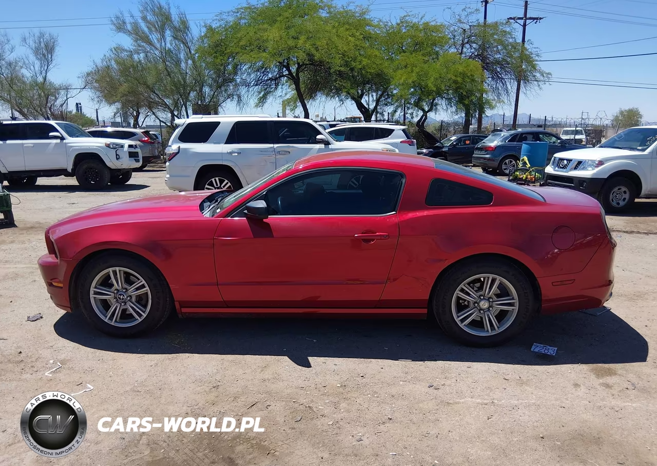 2013 Ford Mustang V6 VIN:1ZVBP8AM8D5211120 - 13