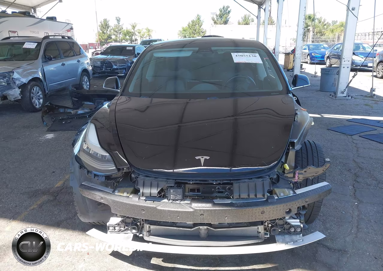 2019 Tesla Model 3 Long Range-Mid Range-Standard Range-Standard Range Plus VIN:5YJ3E1EA3KF306877 - 12