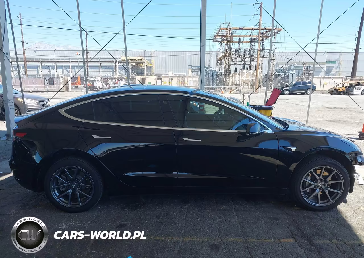 2019 Tesla Model 3 Long Range-Mid Range-Standard Range-Standard Range Plus VIN:5YJ3E1EA3KF306877 - 13