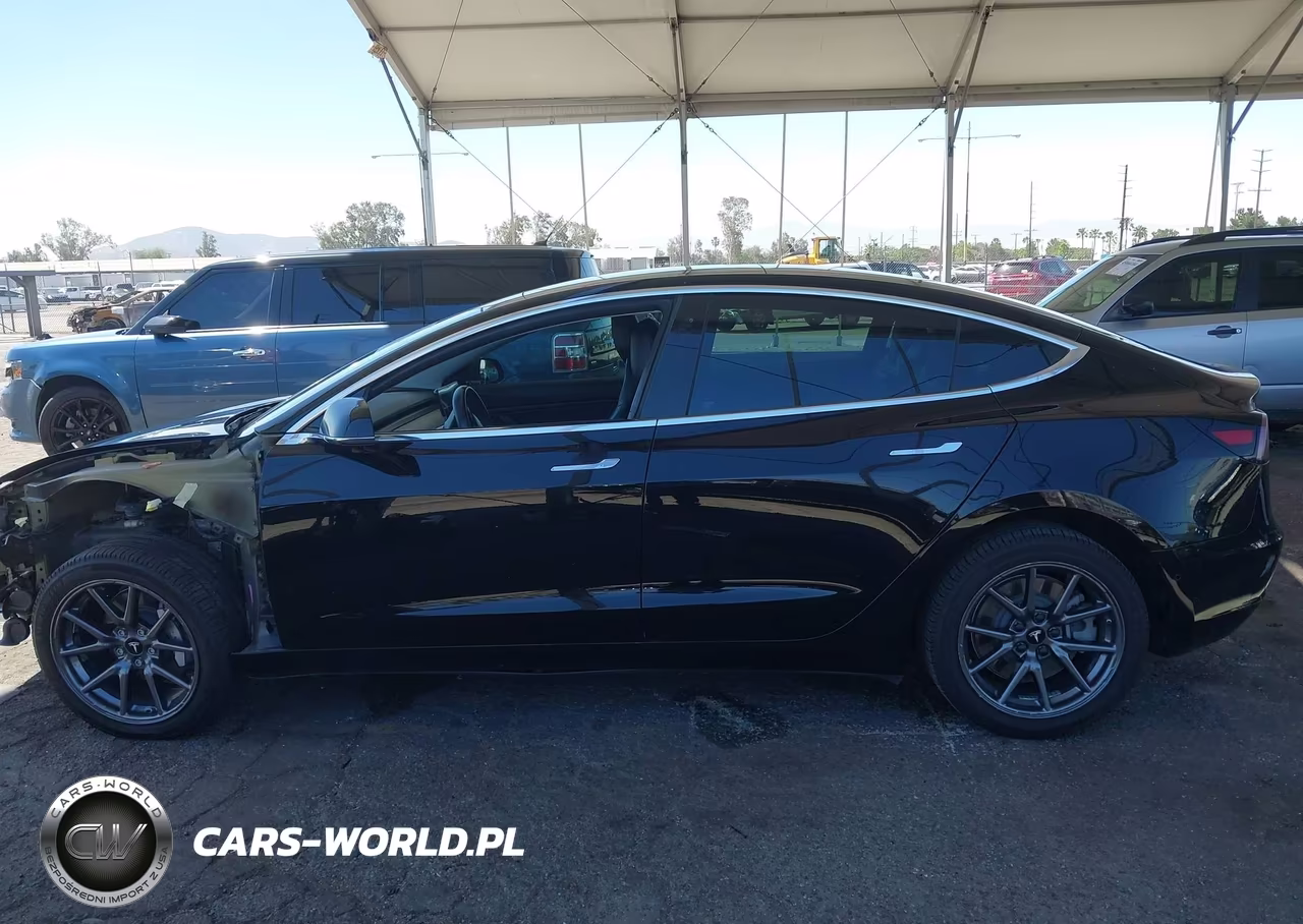 2019 Tesla Model 3 Long Range-Mid Range-Standard Range-Standard Range Plus VIN:5YJ3E1EA3KF306877 - 14