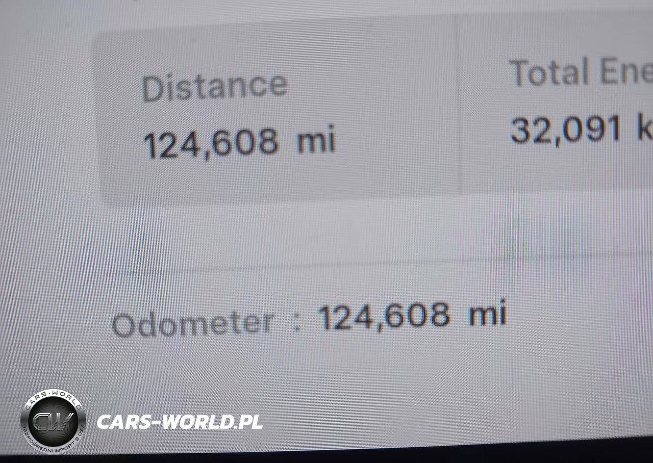 2019 Tesla Model 3 Long Range-Mid Range-Standard Range-Standard Range Plus VIN:5YJ3E1EA3KF306877 - 15