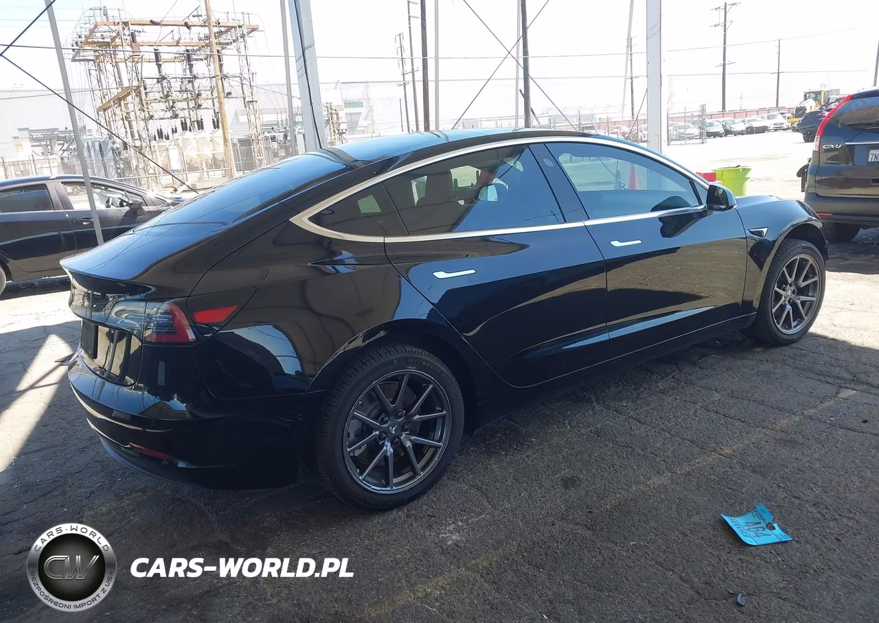 2019 Tesla Model 3 Long Range-Mid Range-Standard Range-Standard Range Plus VIN:5YJ3E1EA3KF306877 - 4