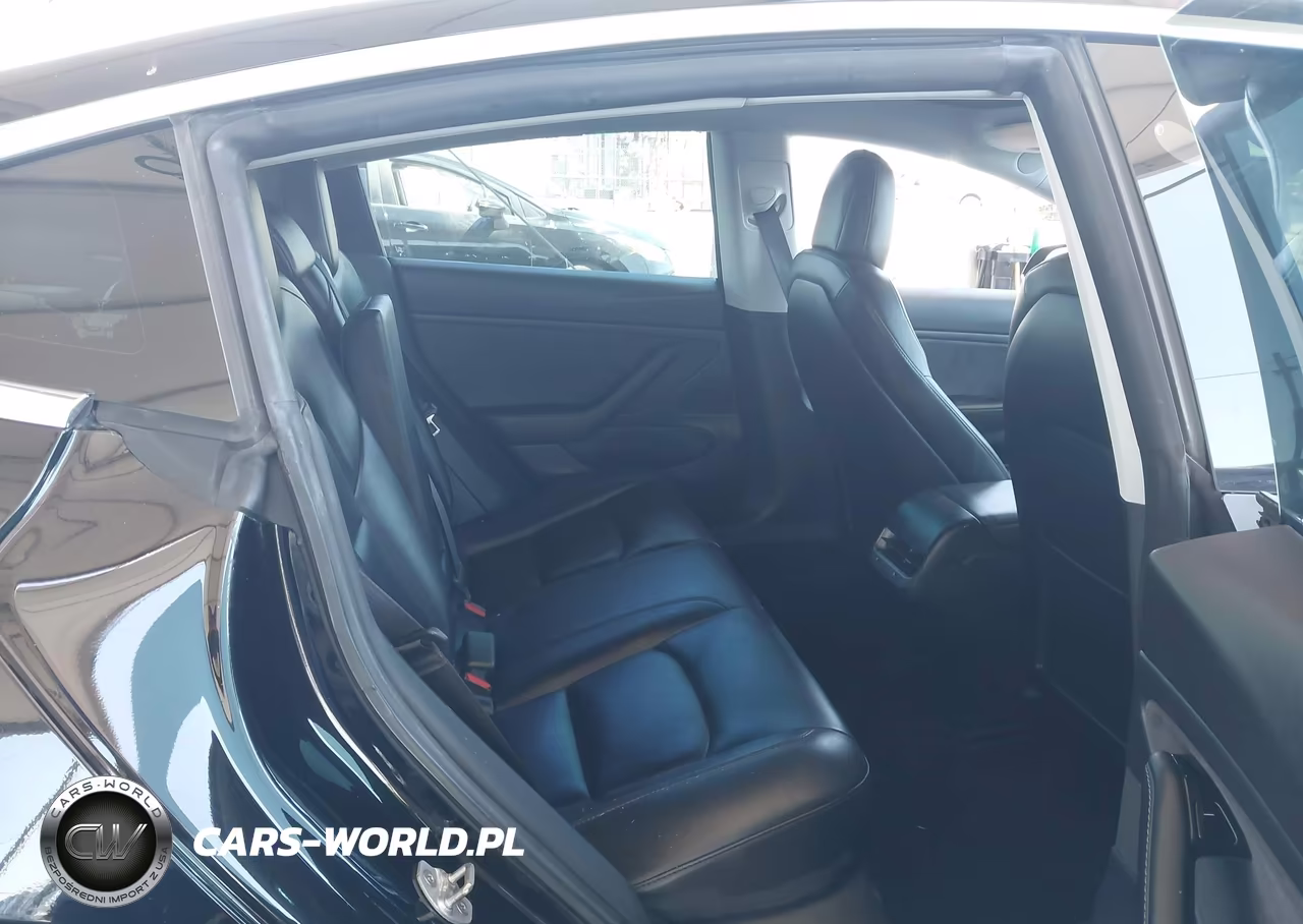2019 Tesla Model 3 Long Range-Mid Range-Standard Range-Standard Range Plus VIN:5YJ3E1EA3KF306877 - 8