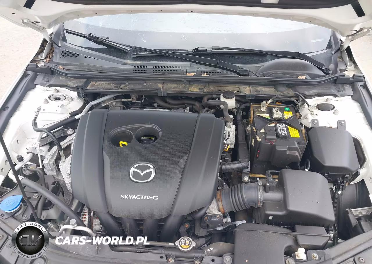 2019 Mazda Mazda3 VIN:JM1BPALM0K1109063 - 10