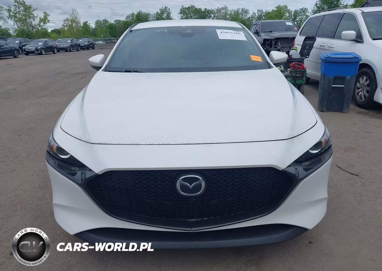 2019 Mazda Mazda3 VIN:JM1BPALM0K1109063 - 12