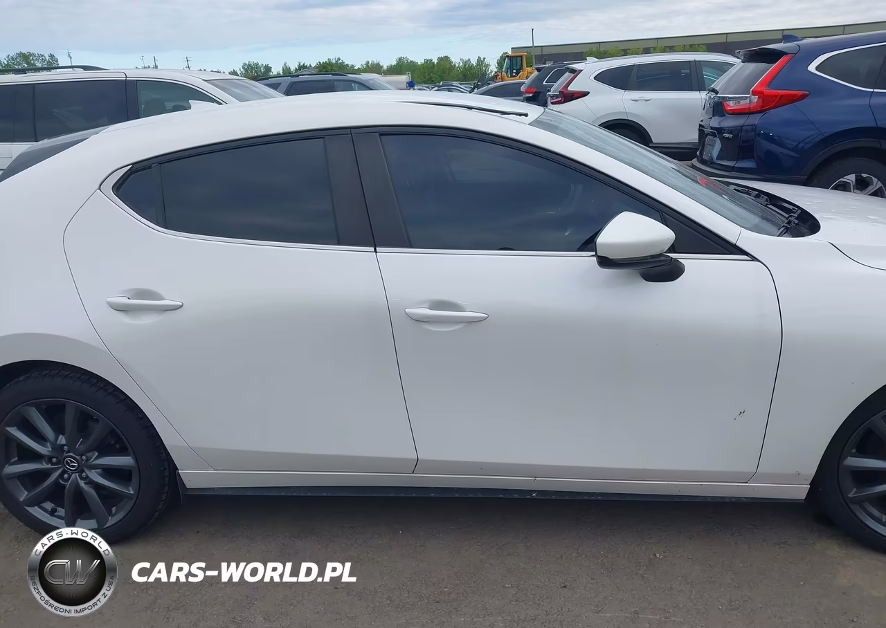 2019 Mazda Mazda3 VIN:JM1BPALM0K1109063 - 13