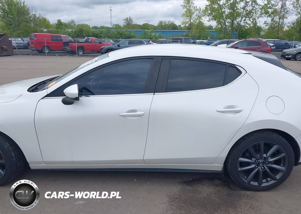 2019 Mazda Mazda3 VIN:JM1BPALM0K1109063 - 14
