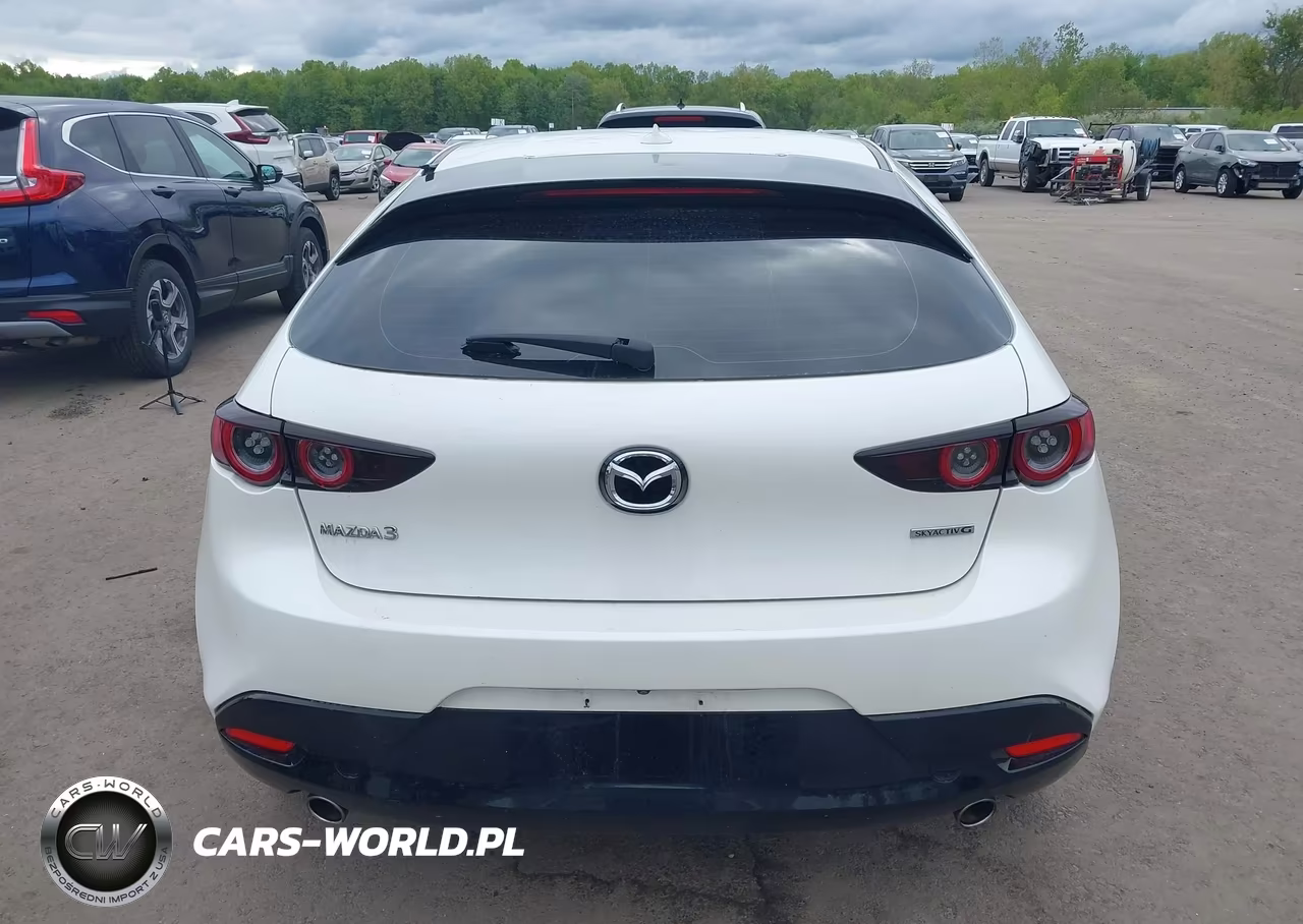 2019 Mazda Mazda3 VIN:JM1BPALM0K1109063 - 16