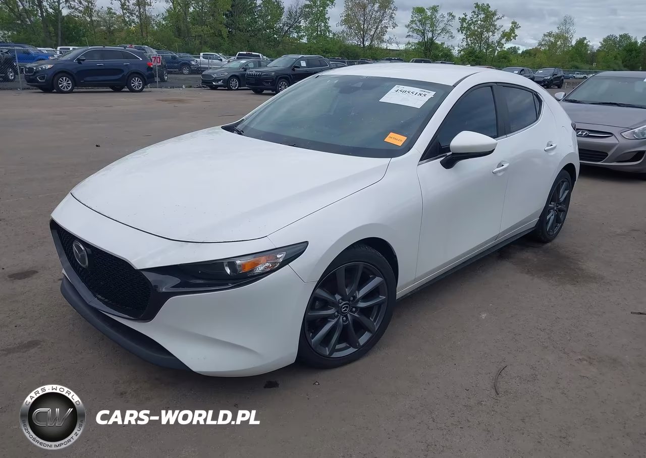 2019 Mazda Mazda3 VIN:JM1BPALM0K1109063 - 2
