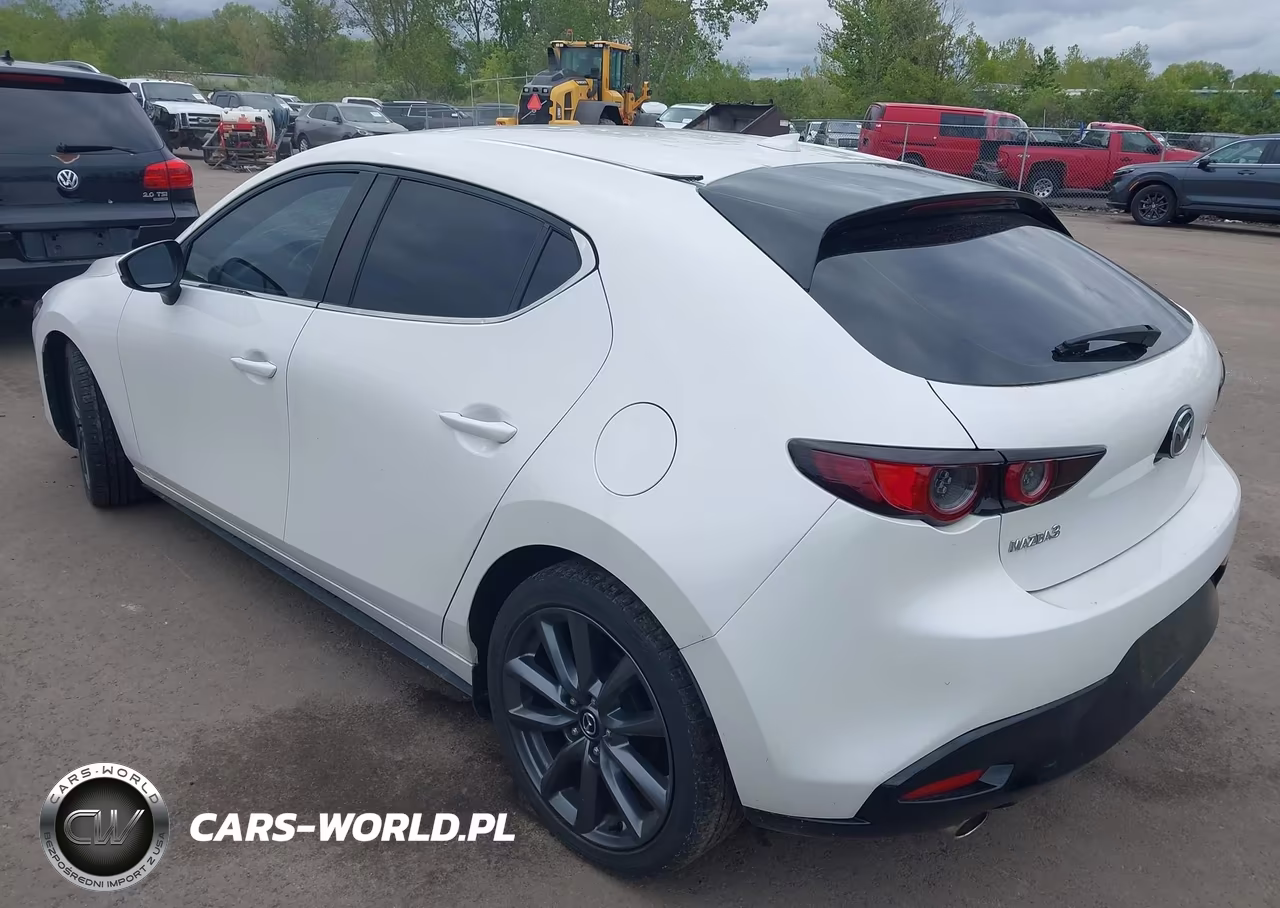 2019 Mazda Mazda3 VIN:JM1BPALM0K1109063 - 3