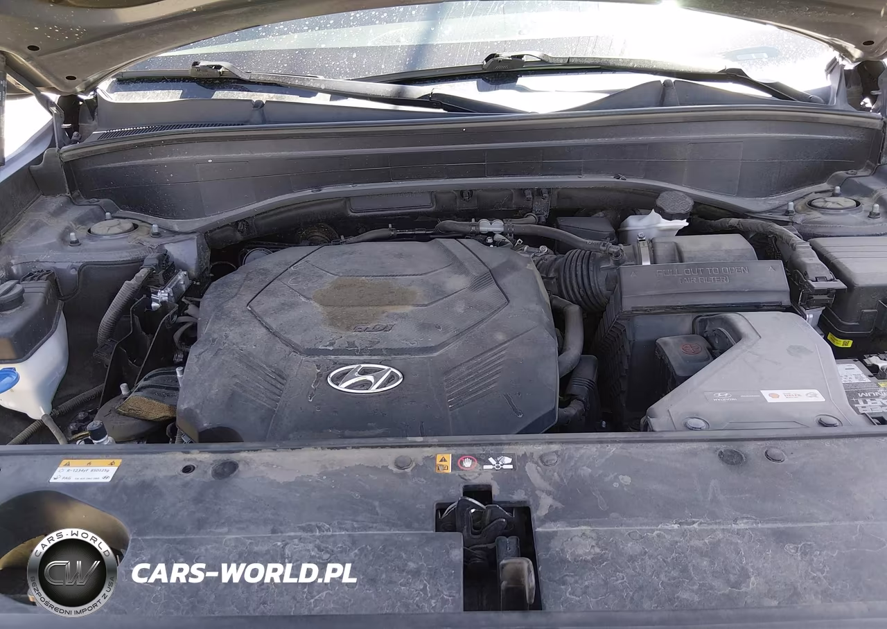 2021 Hyundai Palisade Limited VIN:KM8R54HE0MU191400 - 10