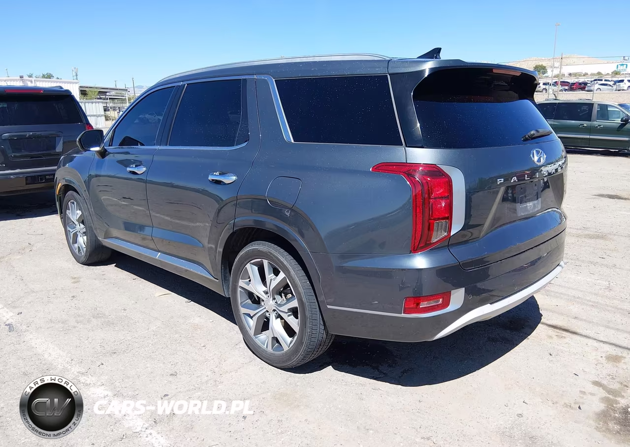 2021 Hyundai Palisade Limited VIN:KM8R54HE0MU191400 - 3