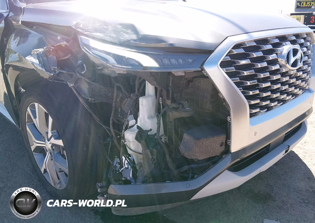 2021 Hyundai Palisade Limited VIN:KM8R54HE0MU191400 - 6