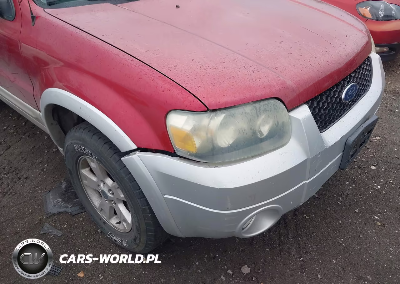 2007 Ford Escape Xlt-Xlt Sport VIN:1FMCU93117KA36252 - 6
