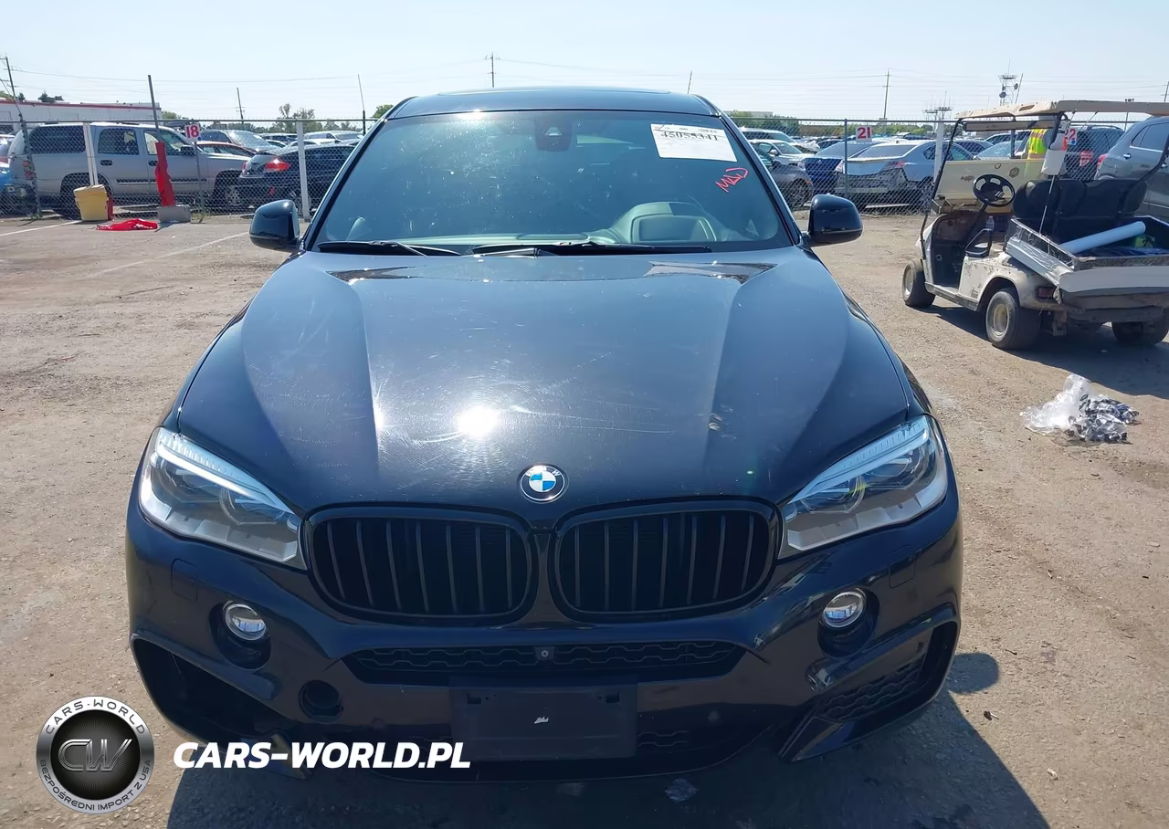 2016 BMW X6 xDrive35I VIN:5UXKU2C52G0N84037 - 12