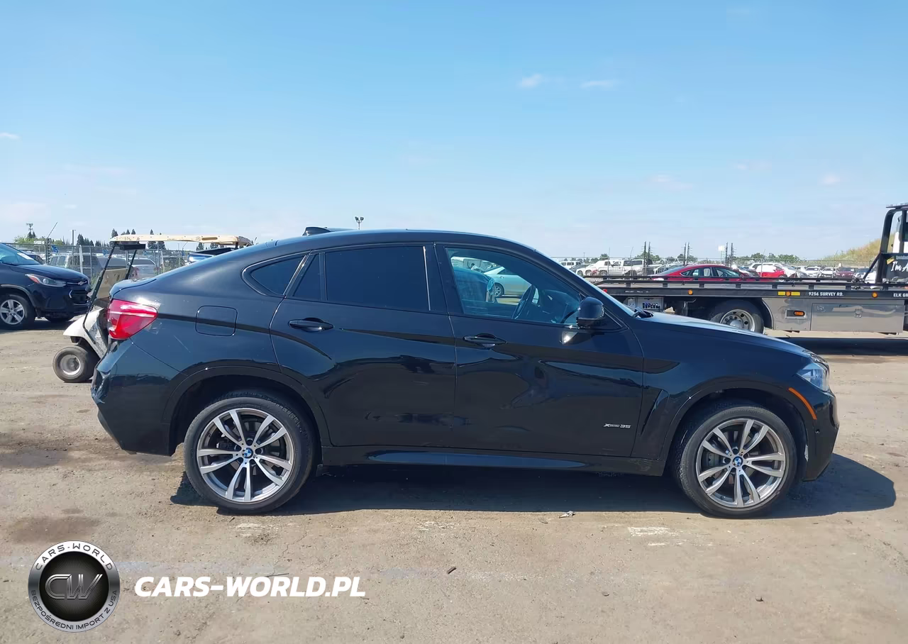 2016 BMW X6 xDrive35I VIN:5UXKU2C52G0N84037 - 13