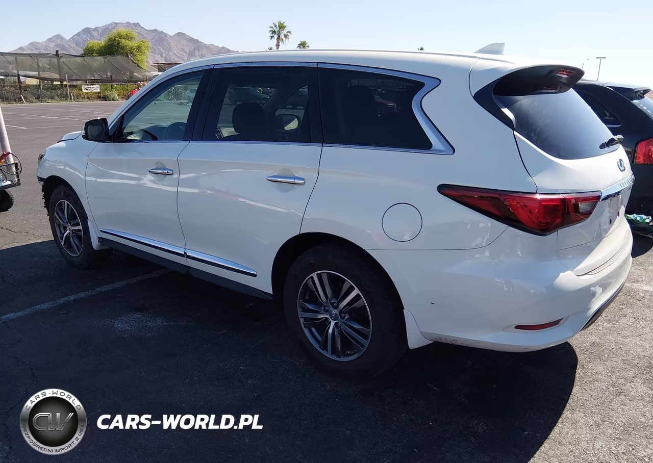 2019 Infiniti Qx60 Pure VIN:5N1DL0MN5KC503440 - 3