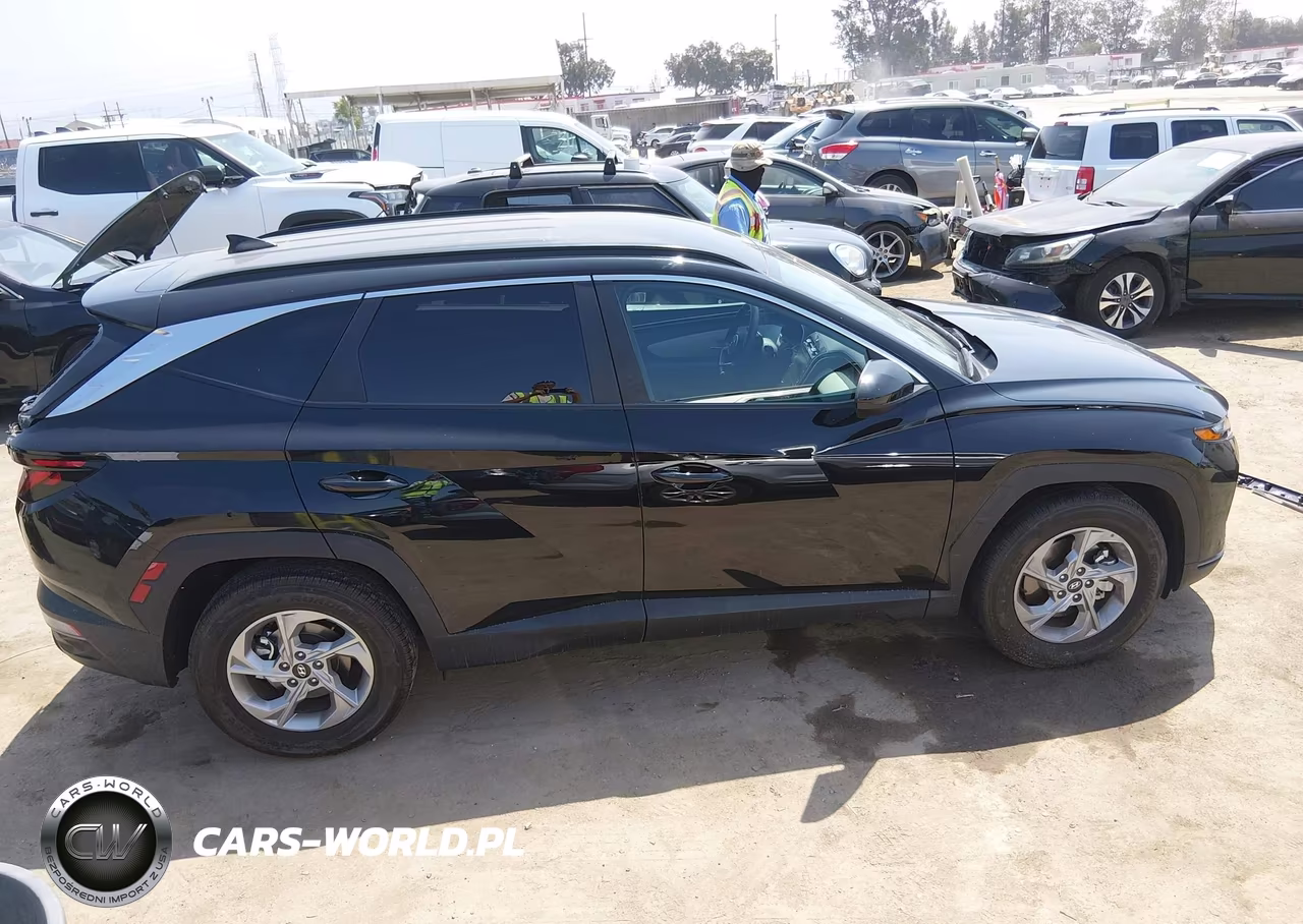 2024 Hyundai Tucson Sel VIN:5NMJB3DE2RH358445 - 13
