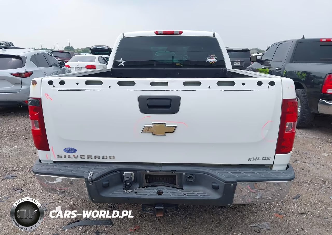 2010 Chevrolet Silverado 1500 Work Truck VIN:1GCSCPEX0AZ150976 - 16