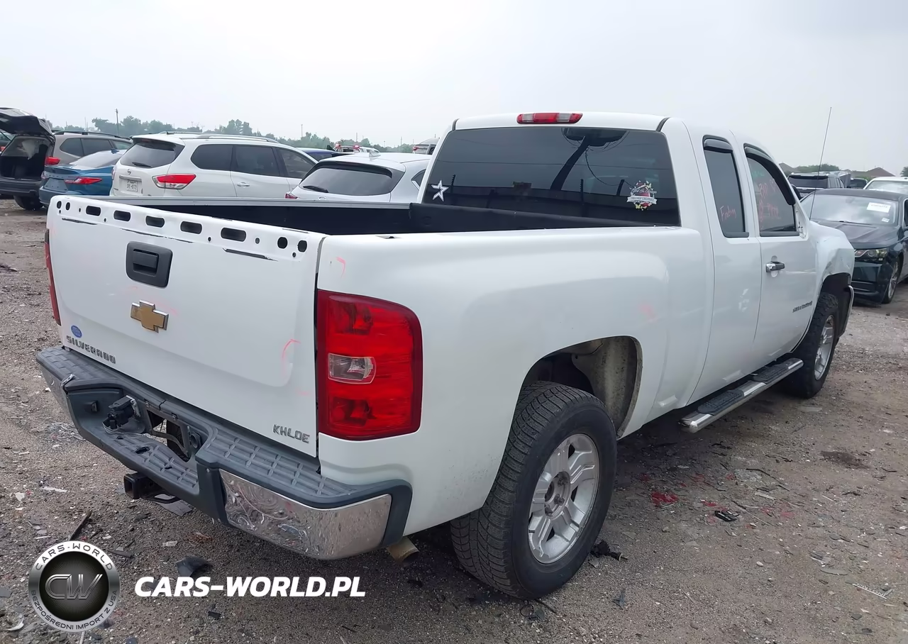 2010 Chevrolet Silverado 1500 Work Truck VIN:1GCSCPEX0AZ150976 - 4