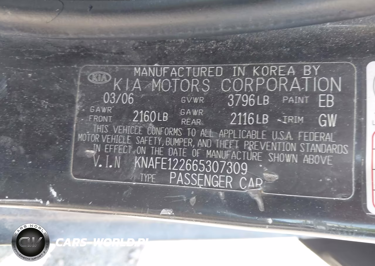 2006 Kia Spectra Ex-Lx-Sx VIN:KNAFE122665307309 - 9