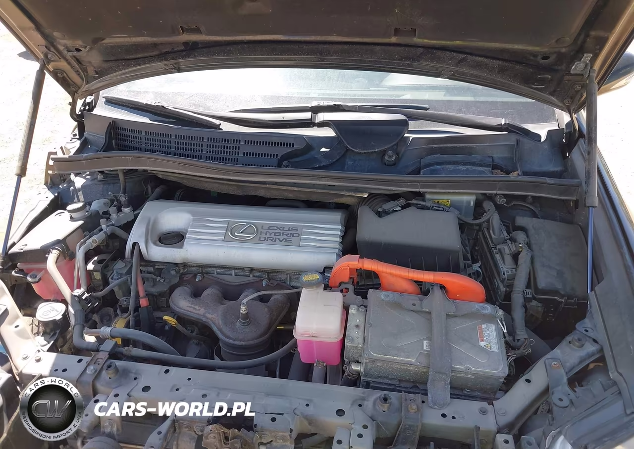 2010 Lexus Hs 250H Premium VIN:JTHBB1BA5A2005245 - 10