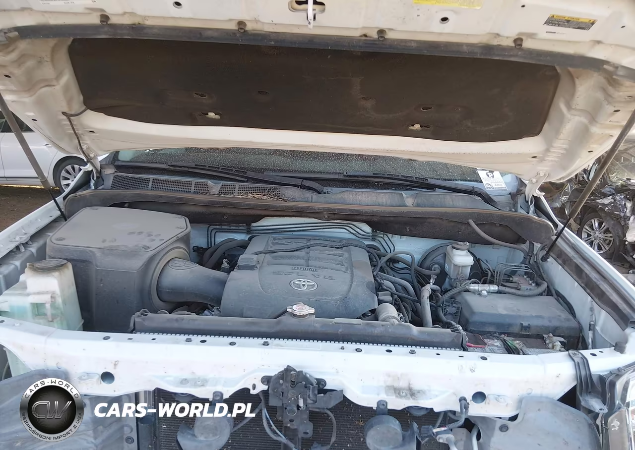 2019 Toyota Tundra 1794 5.7L V8 VIN:5TFAY5F11KX780255 - 10