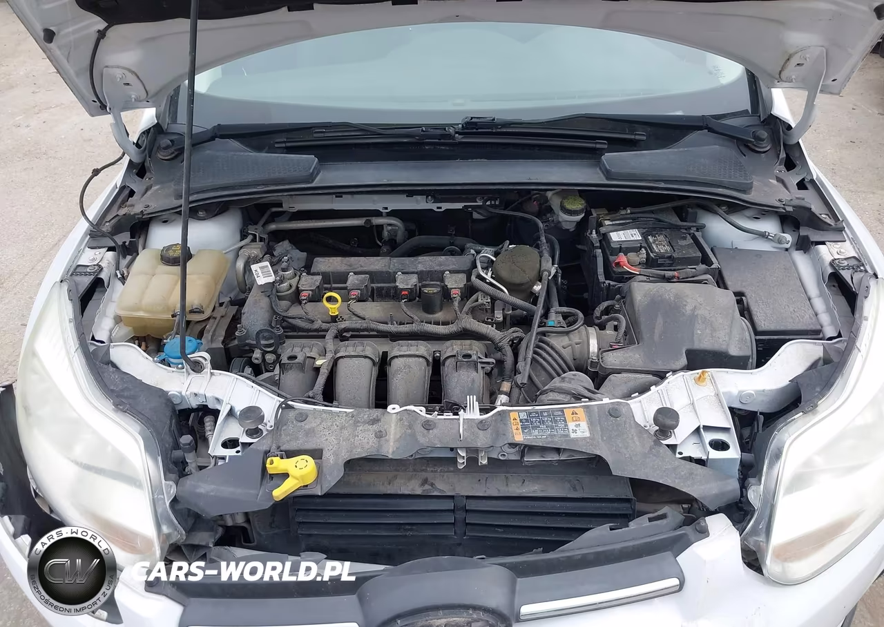 2014 Ford Focus Se VIN:1FADP3K28EL432201 - 10