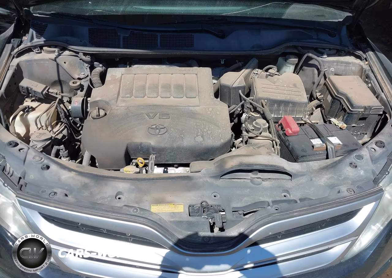 2013 Toyota Venza Le V6 VIN:4T3ZK3BB7DU052552 - 10