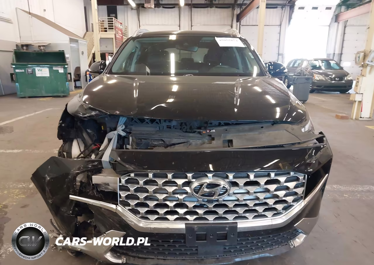 2023 Hyundai Santa Fe Hybrid Sel Premium VIN:5NMS3DA10PH000363 - 12