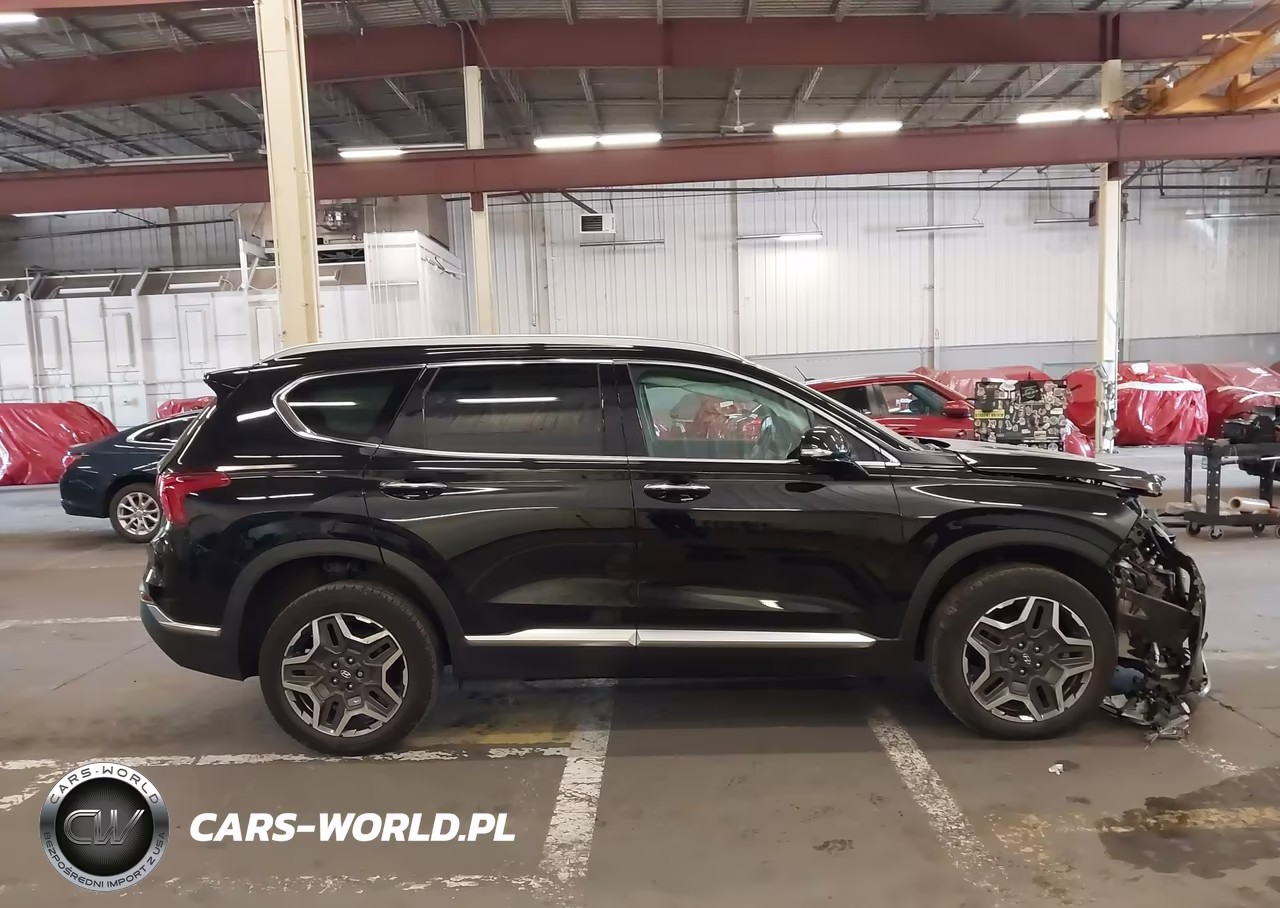 2023 Hyundai Santa Fe Hybrid Sel Premium VIN:5NMS3DA10PH000363 - 13