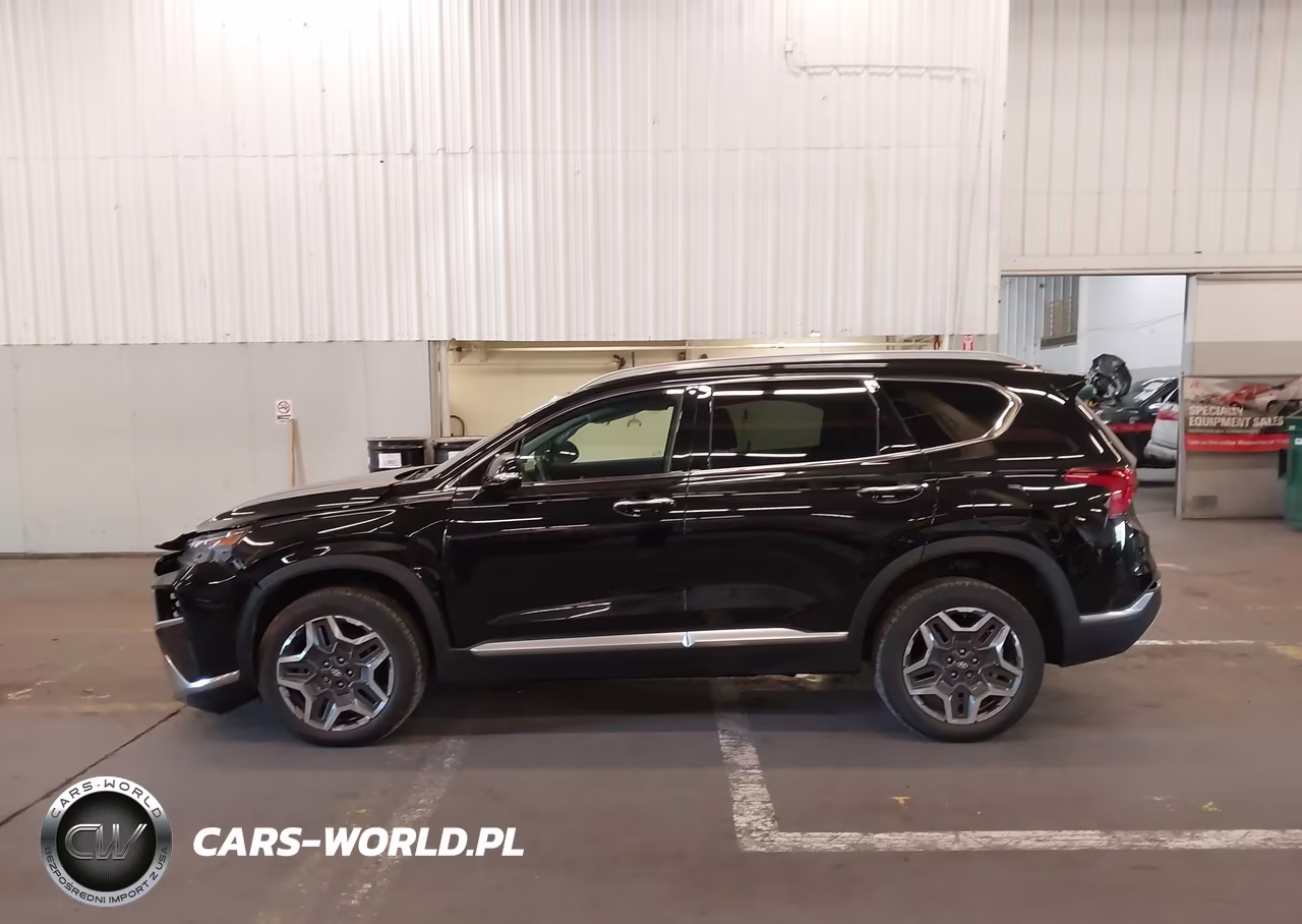2023 Hyundai Santa Fe Hybrid Sel Premium VIN:5NMS3DA10PH000363 - 14