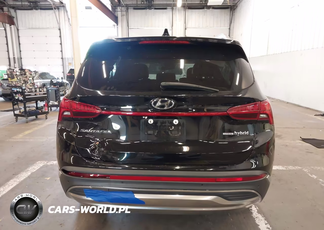 2023 Hyundai Santa Fe Hybrid Sel Premium VIN:5NMS3DA10PH000363 - 16