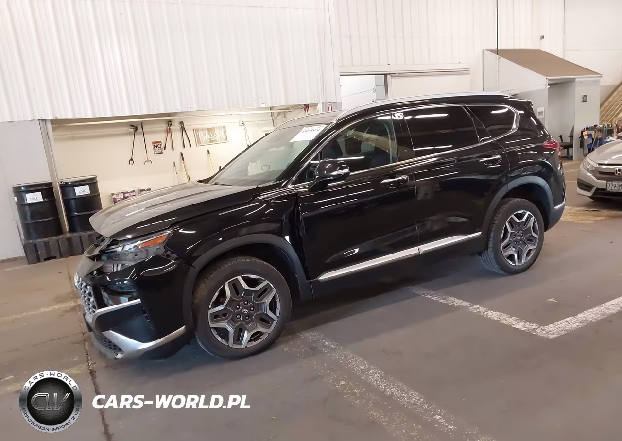 2023 Hyundai Santa Fe Hybrid Sel Premium VIN:5NMS3DA10PH000363 - 2